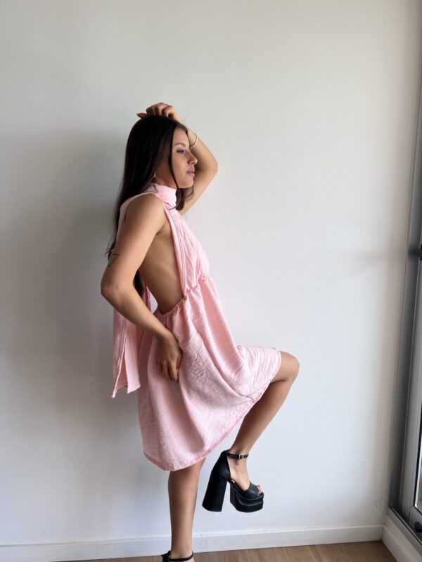 IMG_1610 Vestido Clara Rosa