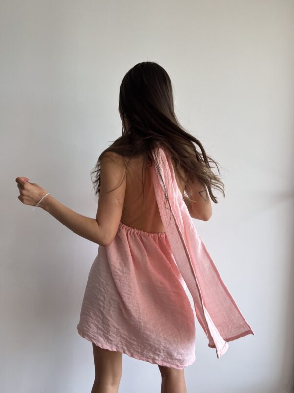 IMG_1671 Vestido Clara Rosa