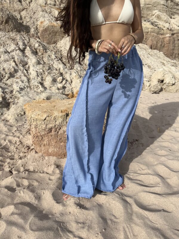 IMG_4822 Pantalón Viento Azul