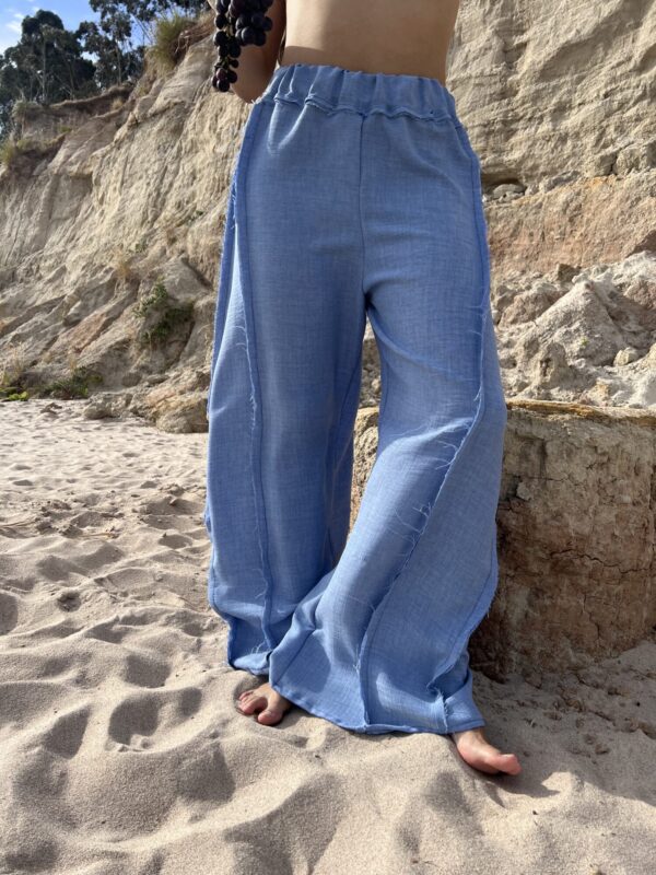 IMG_4823 Pantalón Viento Azul