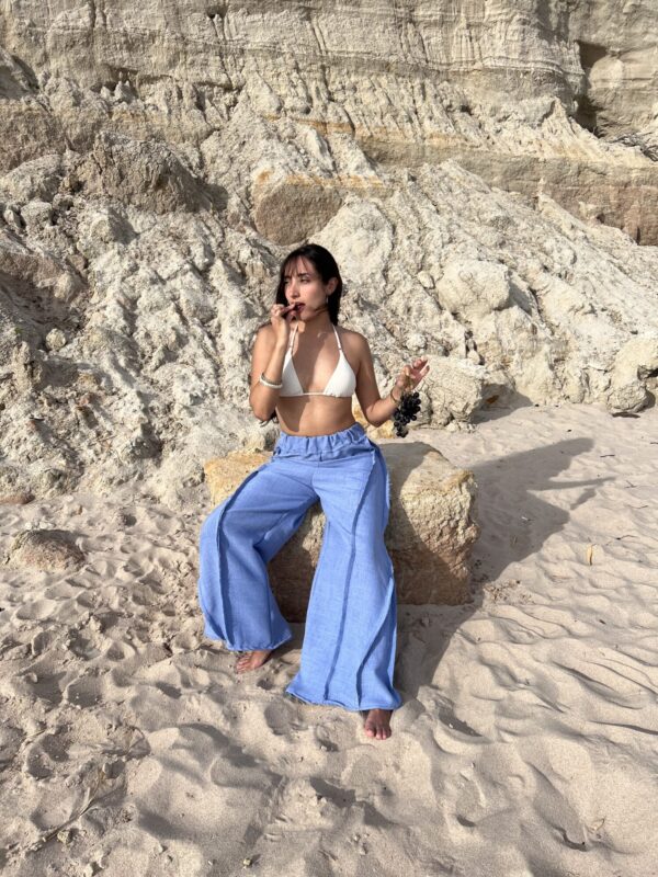 IMG_4867 Pantalón Viento Azul